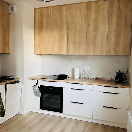 Premium 49 M - Centrum - Garaz - Klimatyzacja *